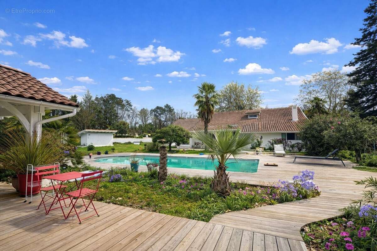 Propriété de caractère avec dépendances et piscine  Domaine de 3 hectares au calme absolu - photo 35