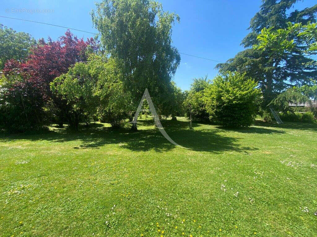 Maison à ASCHERES-LE-MARCHE