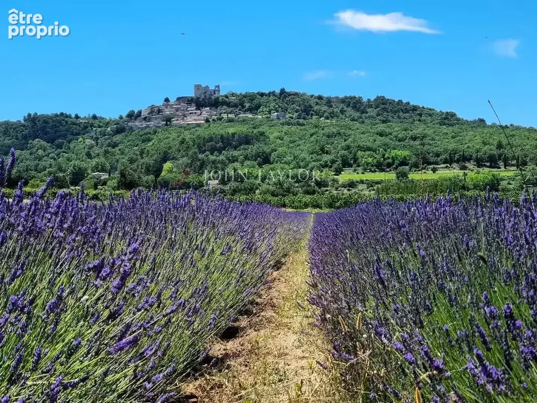 Mas d'exception à vendre à Bonnieux avec vue panoramique sur le Luberon - photo 31