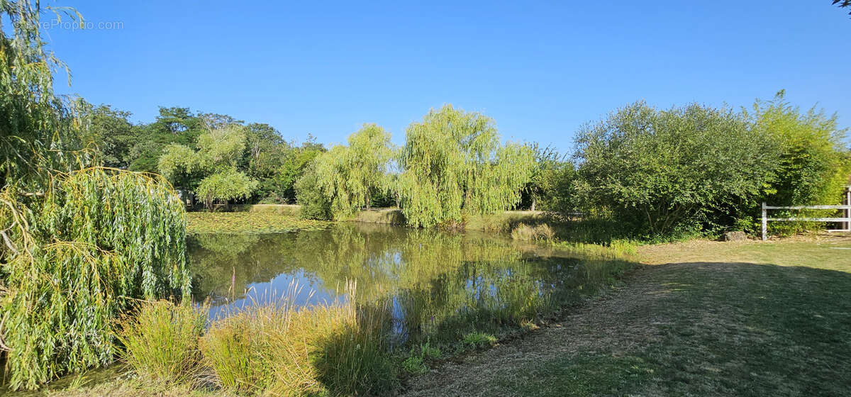 Maison à SAINTE-MAURE-DE-TOURAINE