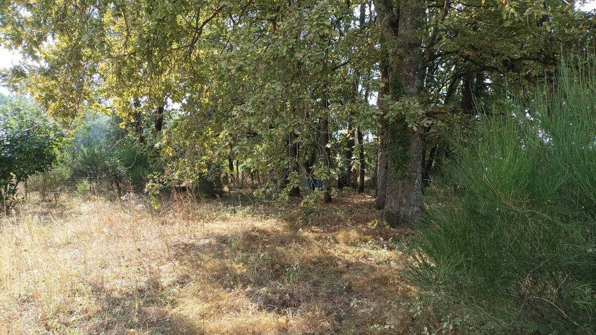 Terrain à SAINT-GERMAIN-DU-PUCH