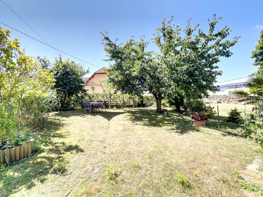 Maison à MATZENHEIM