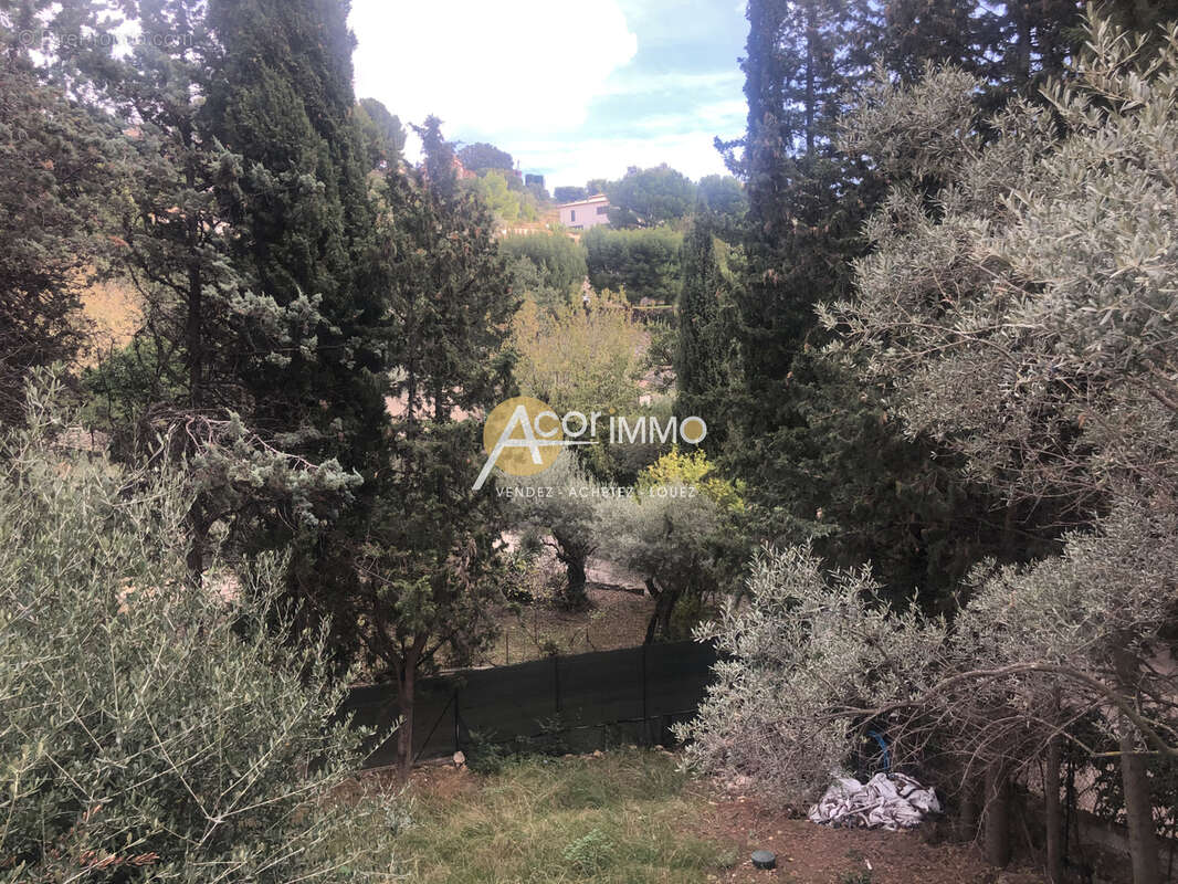 Ollioules sur les hauteurs - photo 7