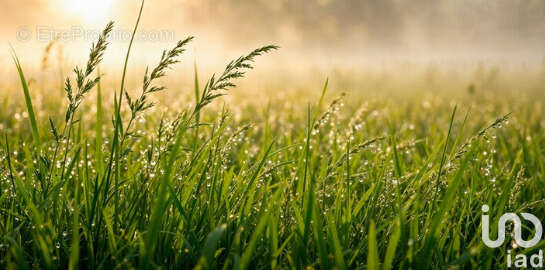 Photo 3 - Terrain à SOULLANS