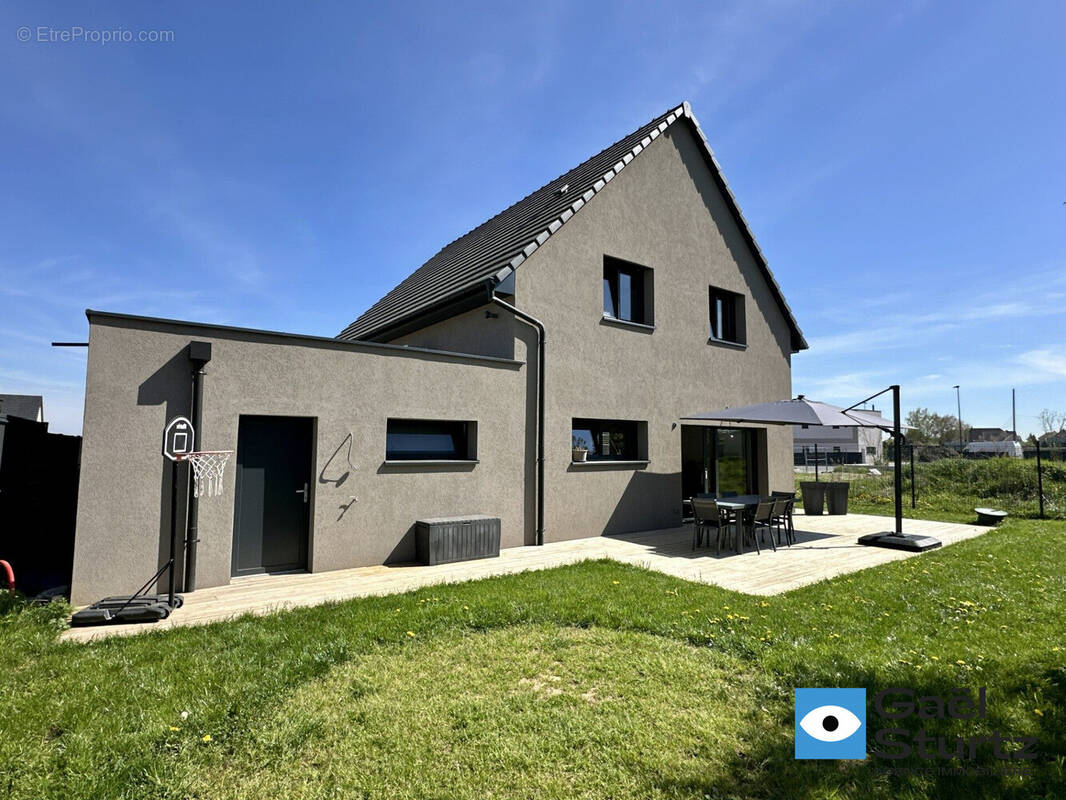 Maison à NIEDERSCHAEFFOLSHEIM