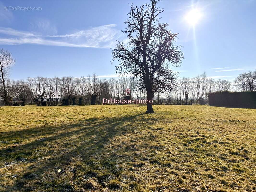 Terrain à LA LONGUEVILLE