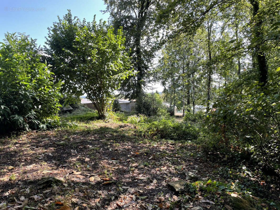 Proche Pompadour centre, voie sans issue - photo 10