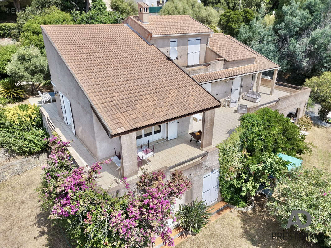 Maison 215 m² à San-Martino-Di-Lota  - photo 6