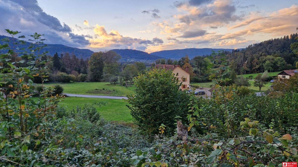 Terrain à GERBAMONT