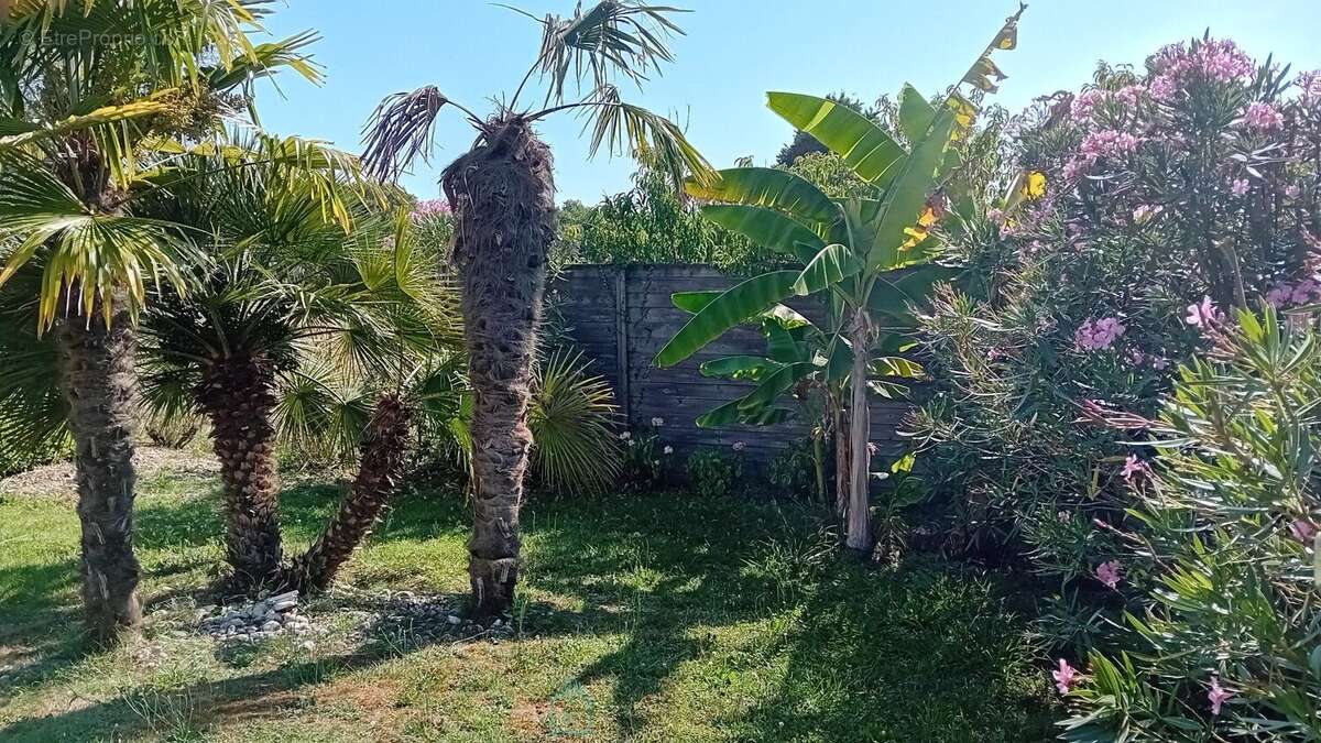 Maison à SAINT-SULPICE-DE-ROYAN