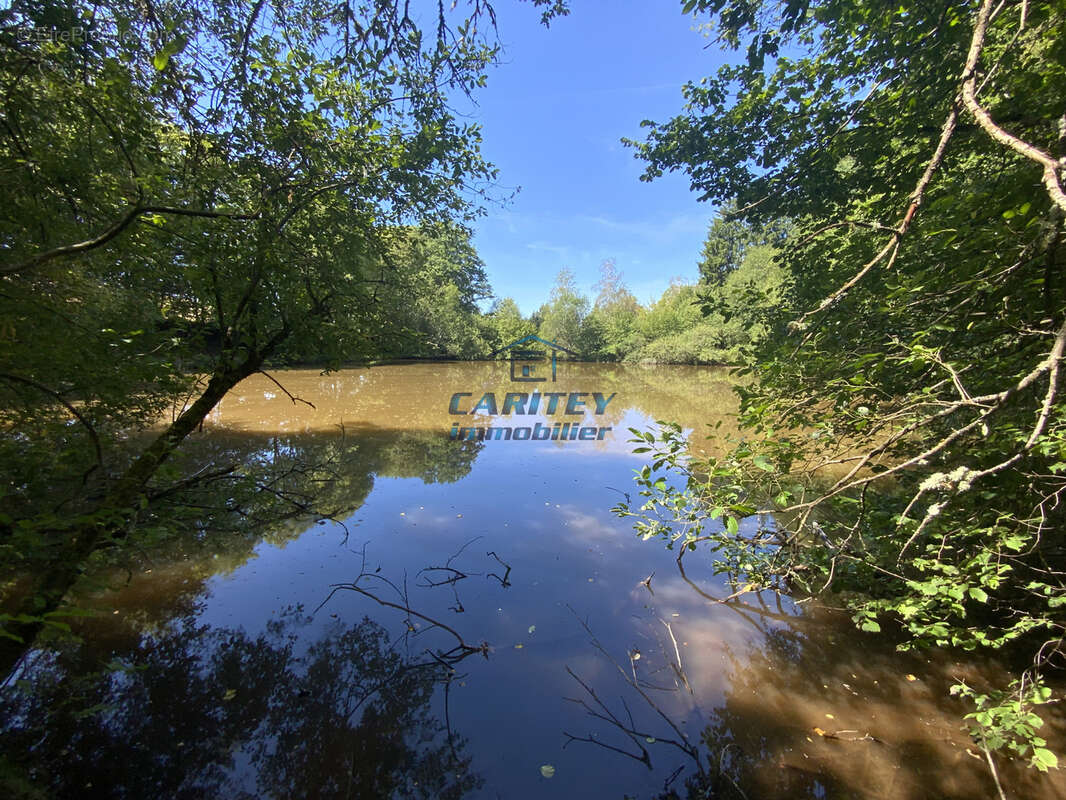 Etang de 30 ares environ sur un terrain de 75 ares avec abri de pêche à FRAHIER (70400) - photo 15