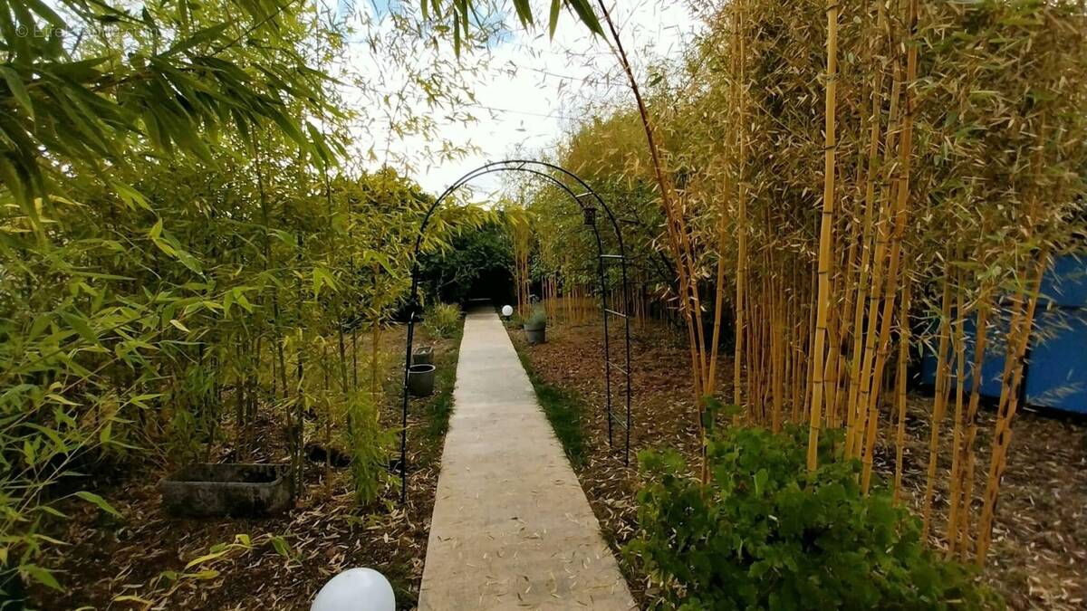 Terrain à COULOUNIEIX-CHAMIERS