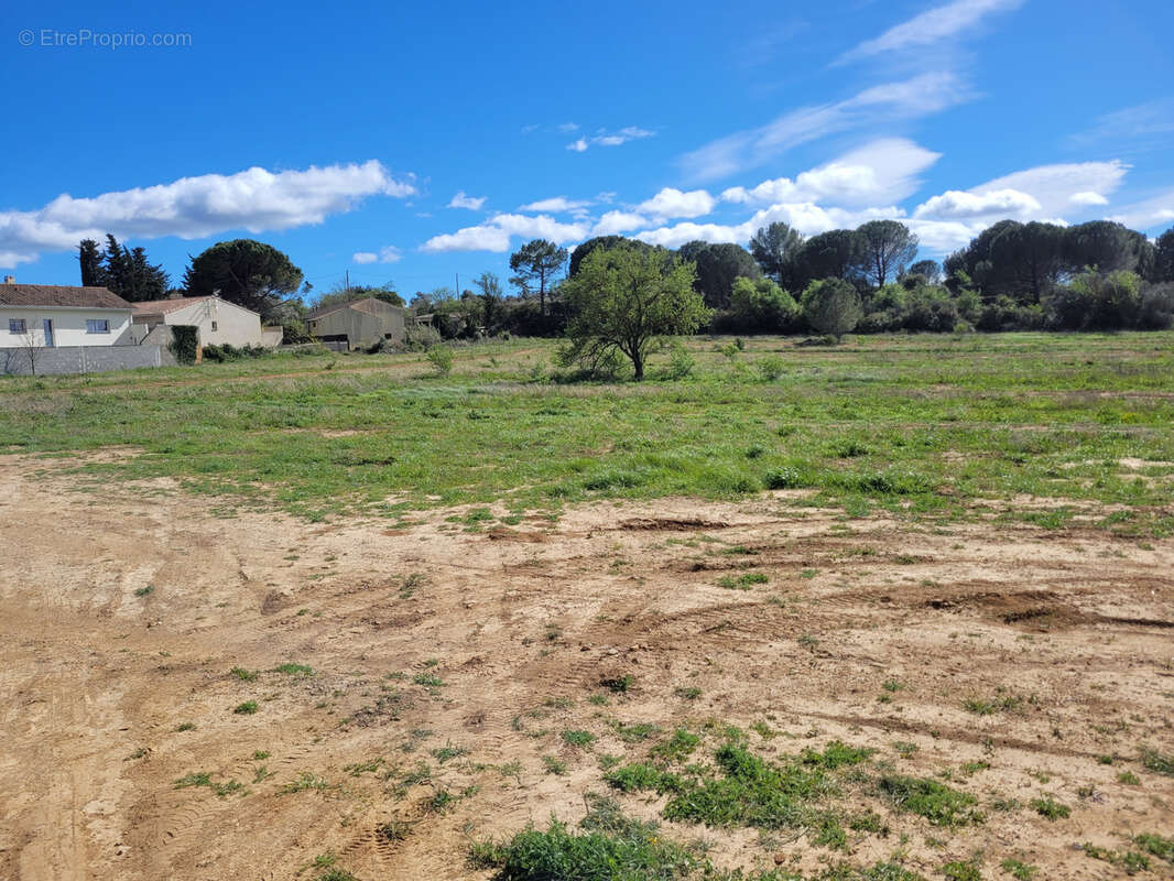 Terrain à SALLES-D'AUDE
