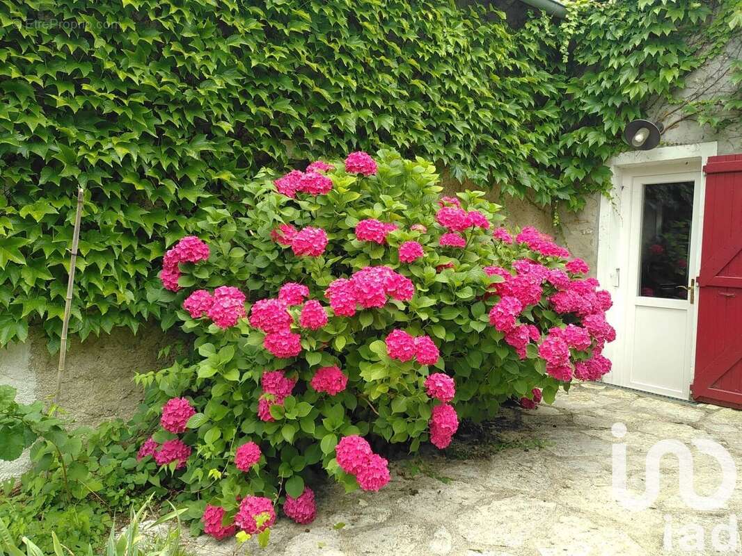 Photo 2 - Maison à BRIIS-SOUS-FORGES