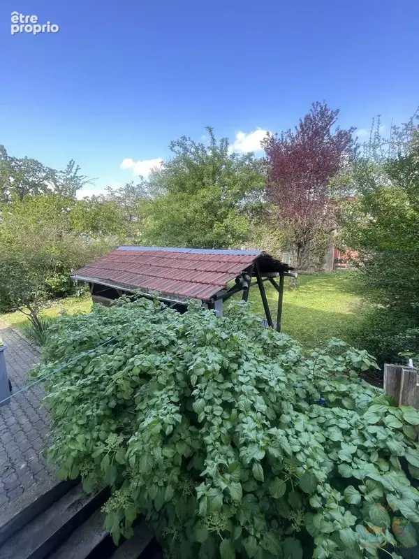 Maison 7 pièces 137 m² à vendre à Mulhouse (68200) - photo 7