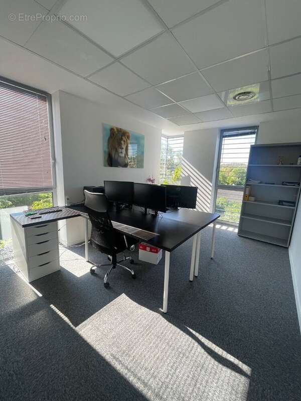 Commerce à PRADES-LE-LEZ