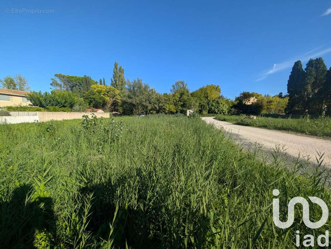 Photo 6 - Terrain à SAINT-REMY-DE-PROVENCE