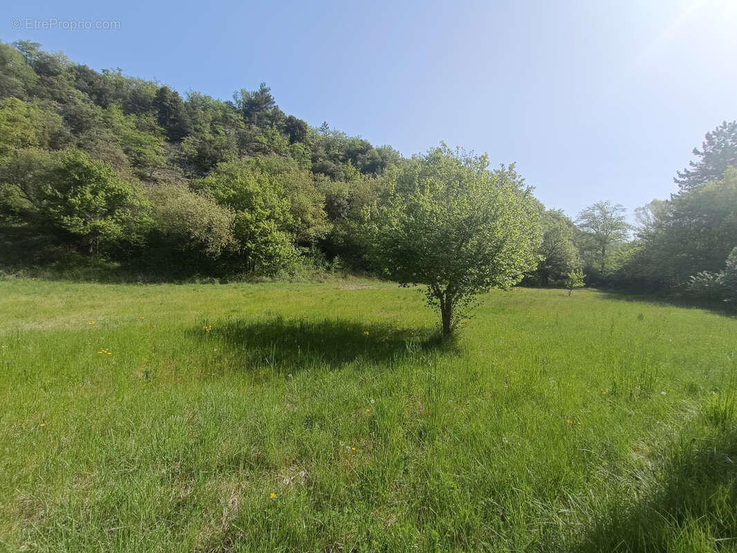 Terrain à SAVOILLAN