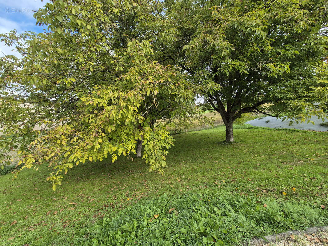Dordogne, Périgueux, Montagrier, Maison de plain pied 205 m2, 4 chambres, terrain arboré clos, piscine sel - photo 22