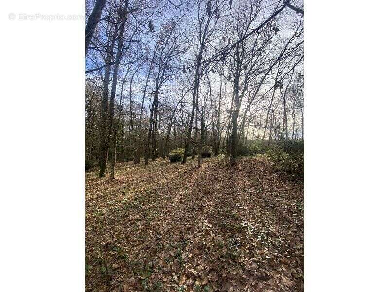 Maison à BRUGUIERES