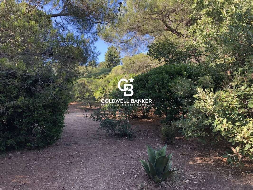 Terrain à LA CROIX-VALMER