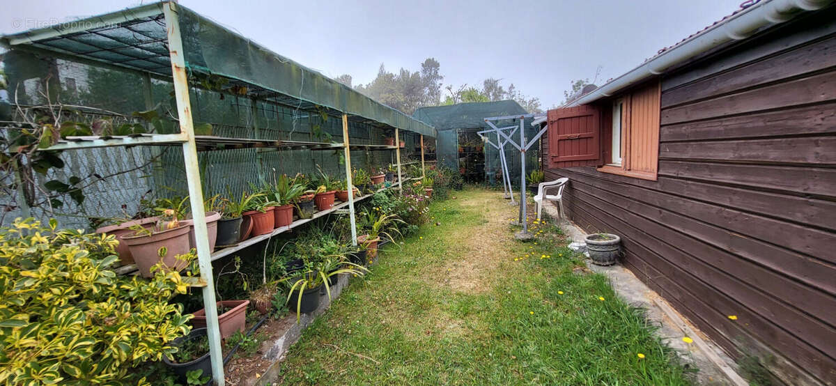 Photo 3 - Maison à LE TAMPON