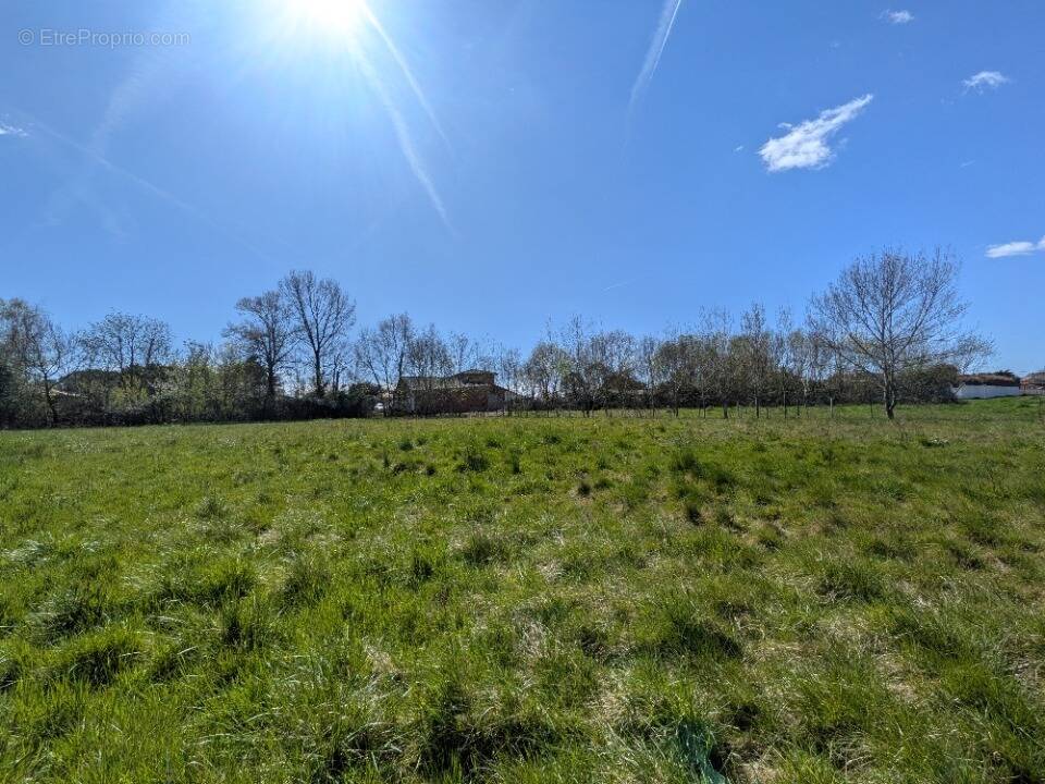 Terrain à RIEUMES