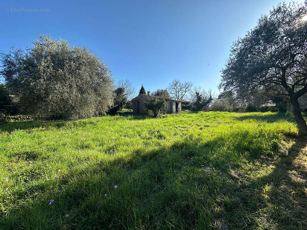 Maison à MONTAUROUX