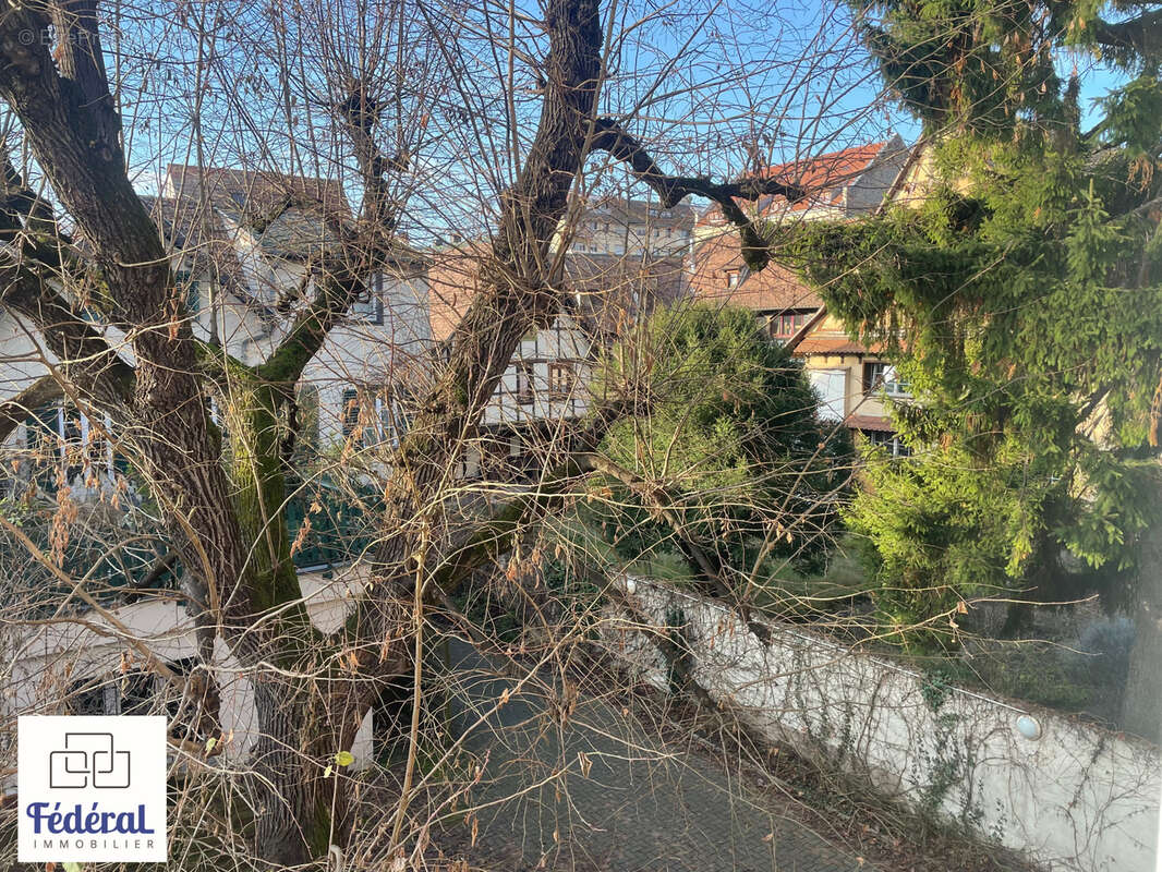 Appartement à SCHILTIGHEIM