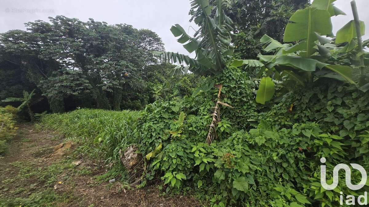 Photo 2 - Terrain à LE LAMENTIN