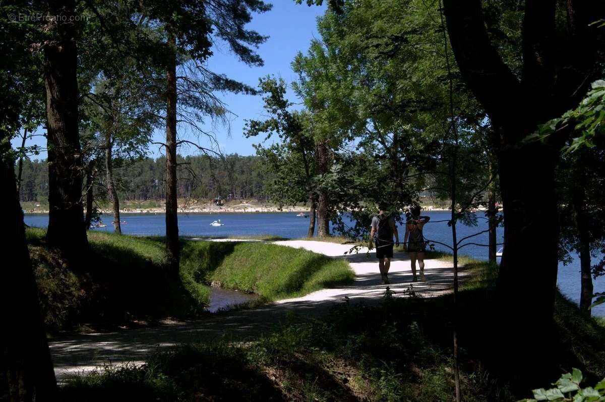 Appartement à REVEL