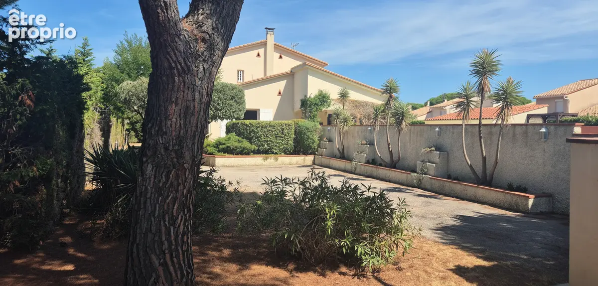 Maison 12 pièces 340 m2 piscine et studio Argelès-sur-mer - photo 16