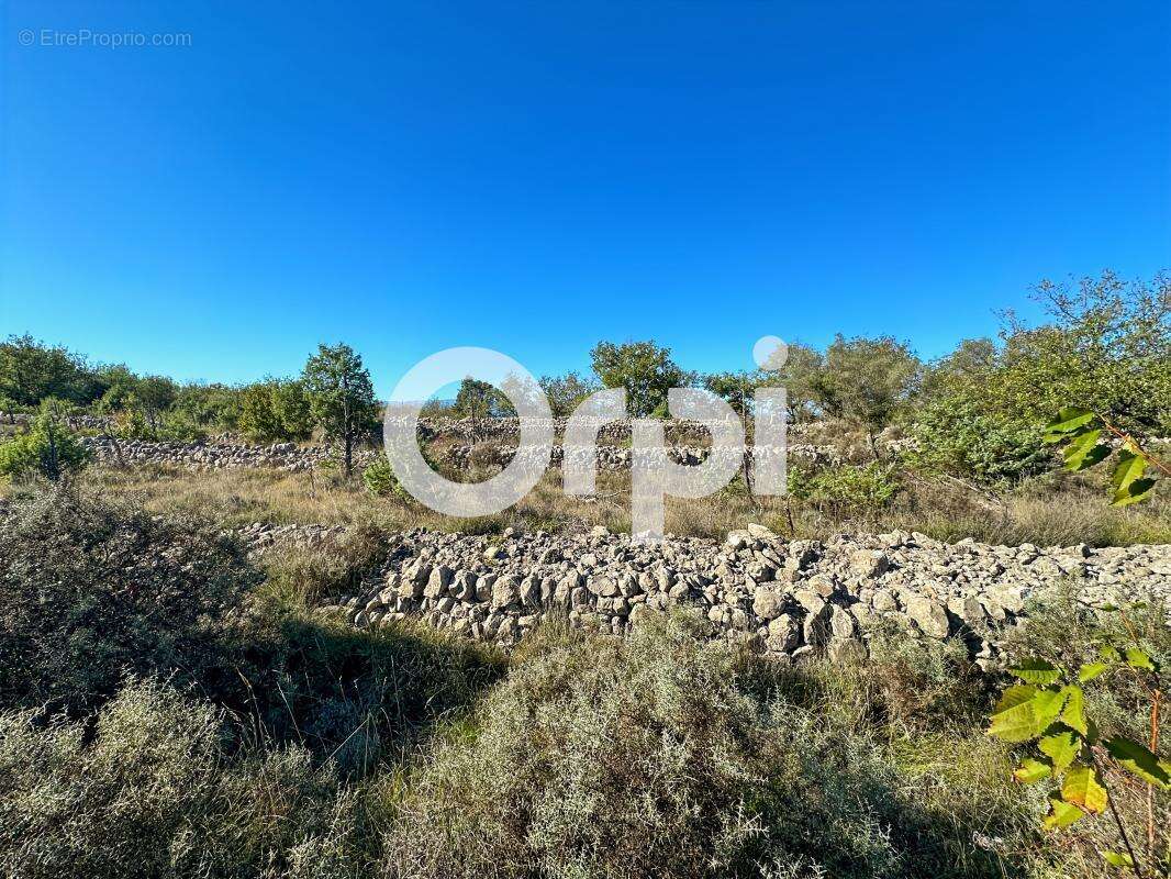 Terrain non constructible - photo 3