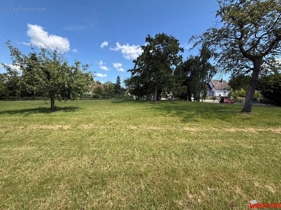 Terrain à MUESPACH-LE-HAUT