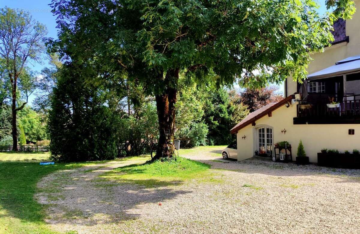 Maison à OYE-ET-PALLET