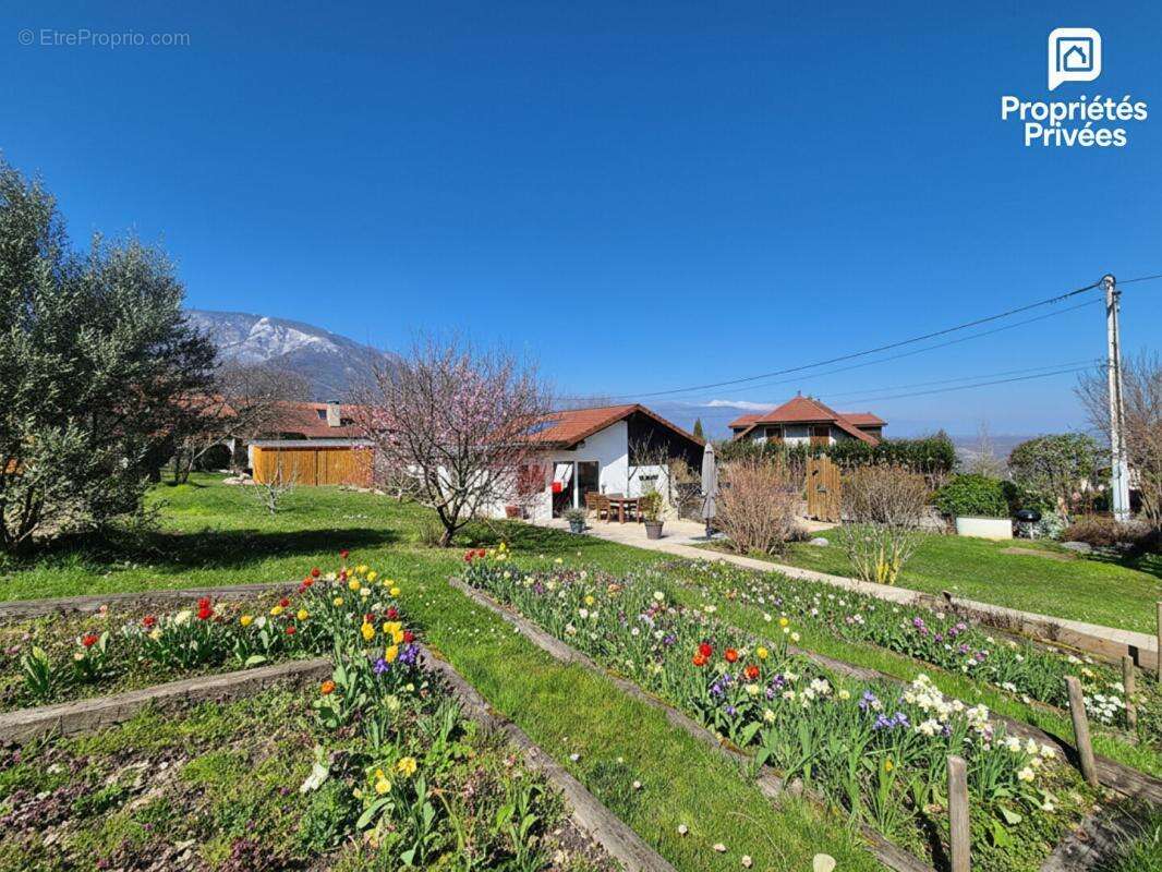 Maison avec dépendance piscine & jardin - Chevrier 74520 - photo 5