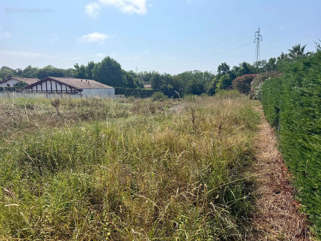 BIDART - Terrain à bâtir de 570 m2   Un cadre de vie privilégié entre océan et nature - photo 3