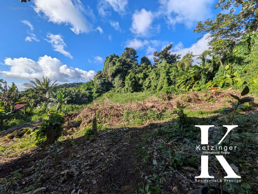 Terrain à SAINT-CLAUDE