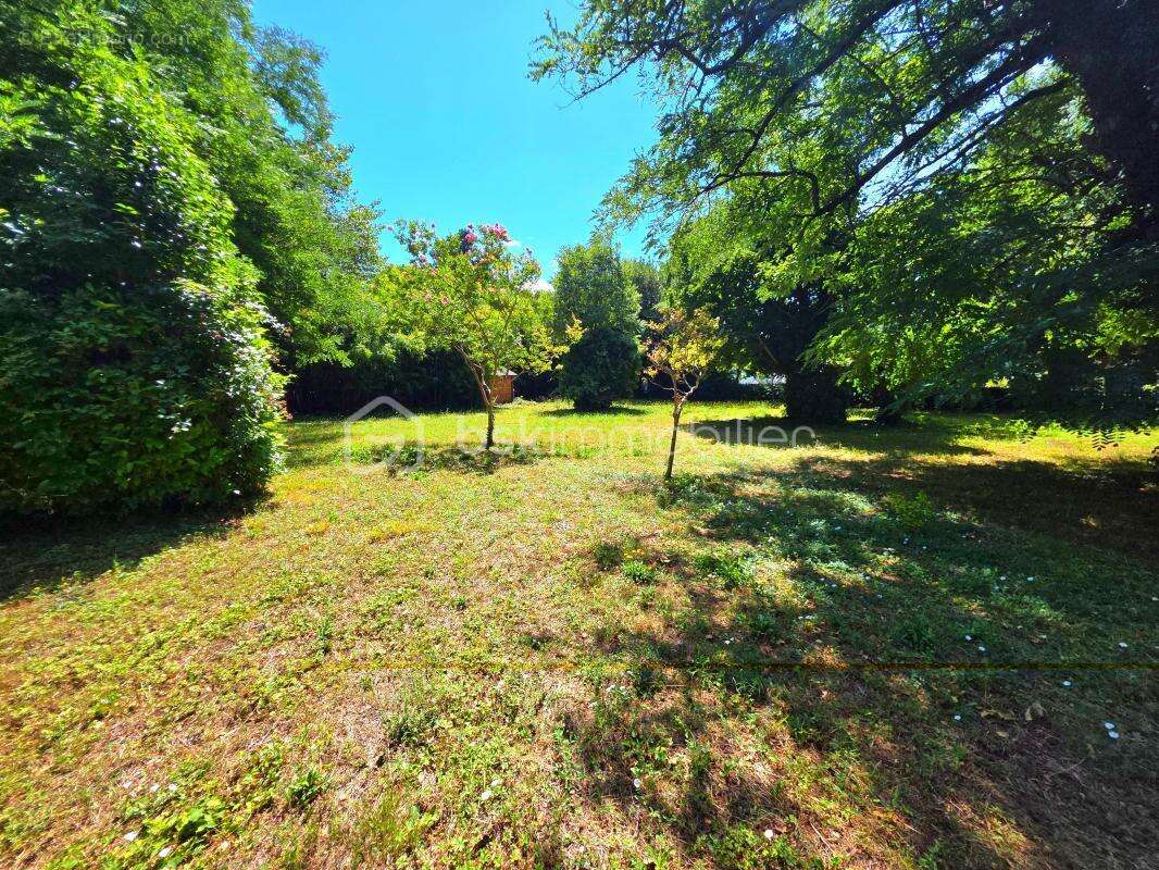 Maison à PIERRELATTE