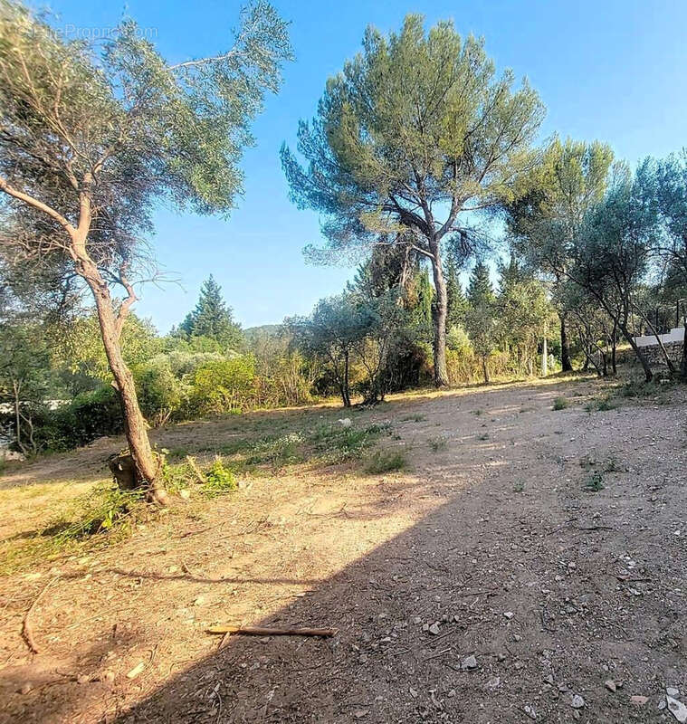 Terrain à DRAGUIGNAN