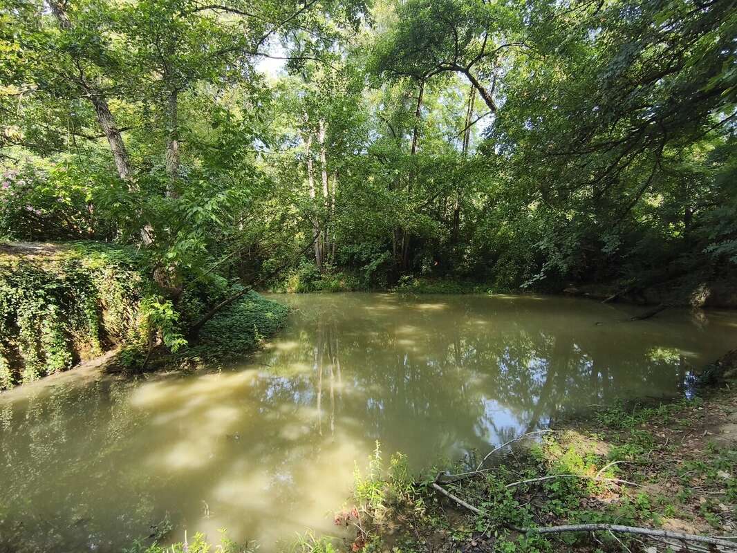 Charmant moulin à eau du 13ème proche de Tonneins et de Clairac - photo 20