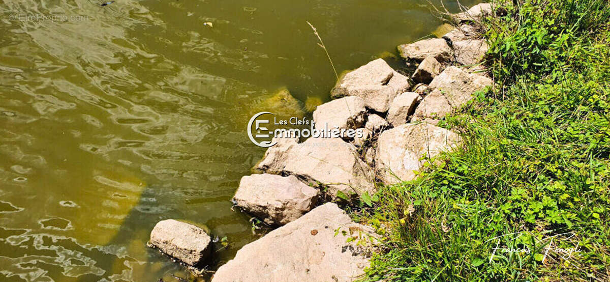 Terrain à LOUHANS
