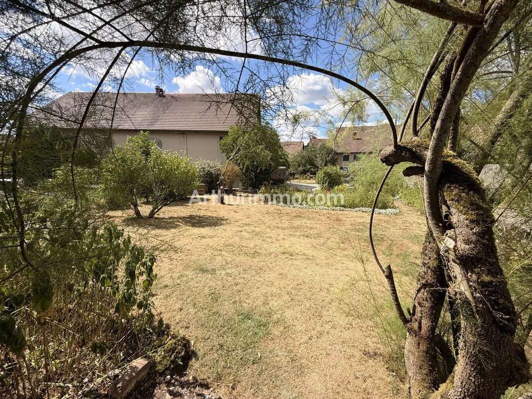 Maison 5 pieces avec grand terasse et jardin - photo 3