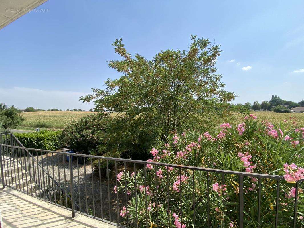 Maison 8 pièces 215 m² Balma  Grand terrain au calme - photo 20