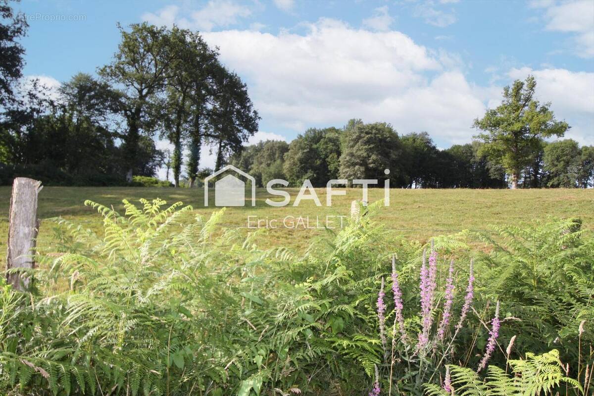 Photo 1 - Terrain à SEILHAC