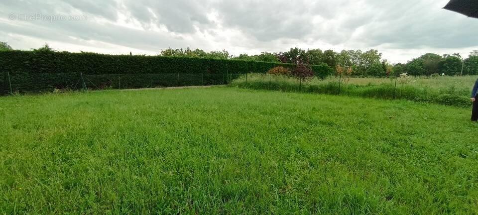 Terrain à LASSERRE