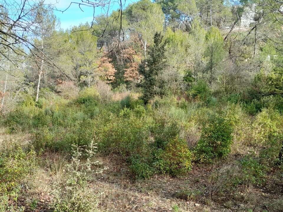Terrain à BRIGNOLES