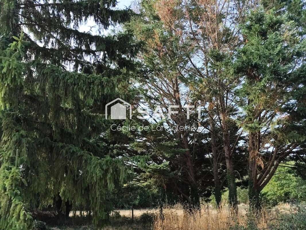 Photo 7 - Terrain à POULIGNY-SAINT-PIERRE