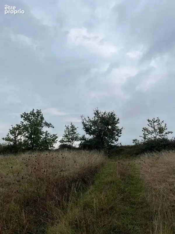 Terrain à CASTELNAU-DE-MONTMIRAL