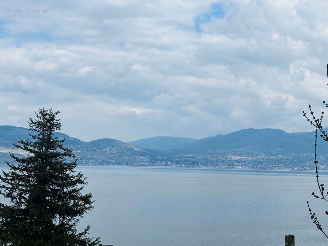 Appartement de caractère pied dans l'eau proche d'Evian-les-Bains - photo 15